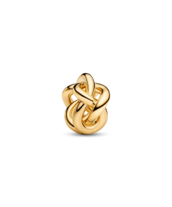 Infinity Knot Charm