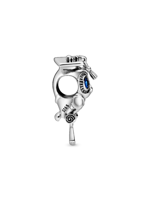 Wise Owl Graduation Charm - Image 5