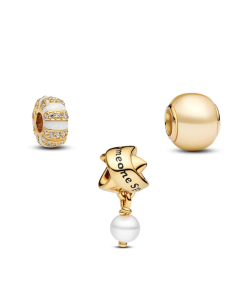 Golden Someone Special Charm Trio