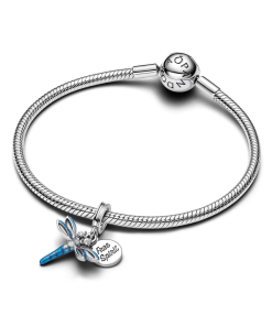 Dragonfly Dangle Charm Bracelet Set
