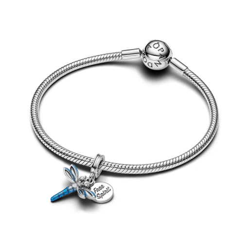 Dragonfly Dangle Charm Bracelet Set