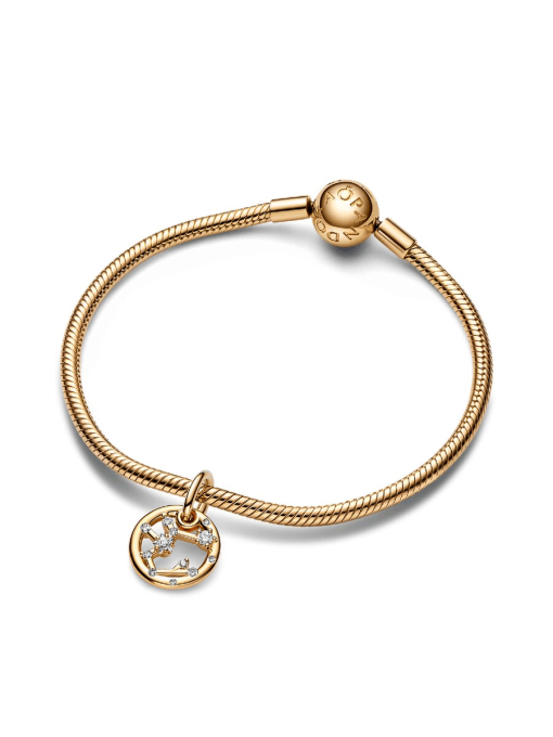 Sagittarius Zodiac Dangle Charm Bracelet Set