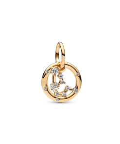 Aquarius Zodiac Dangle Charm