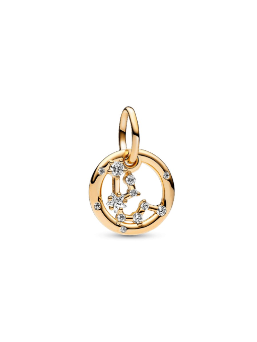 Aquarius Zodiac Dangle Charm